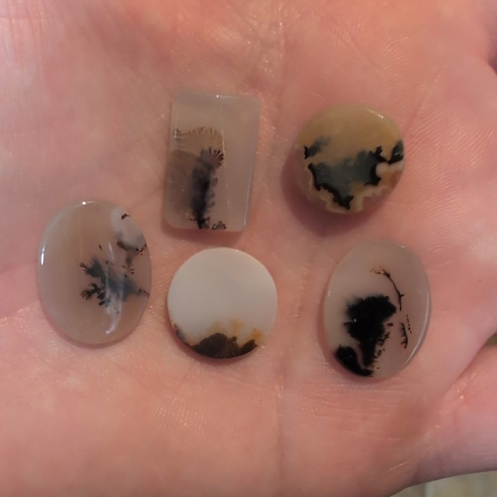 Natural Dendritic Agate Cabochons